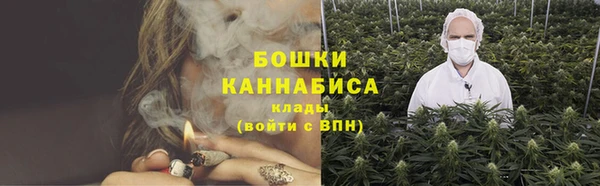 spice Михайлов