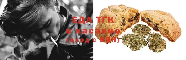 spice Михайлов
