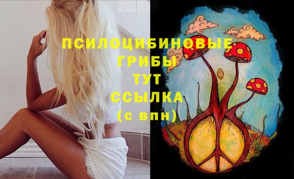 spice Михайлов