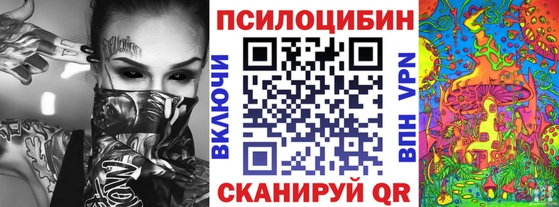 купить Цивильск Псилоцибиновые грибы Psilocybine cubensis